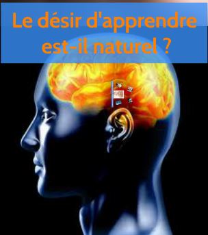cerveau2.1.JPG