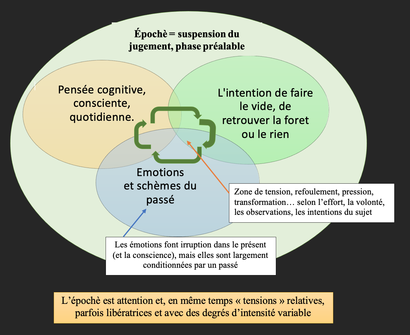 Phénoménologie de Natalie Despraz